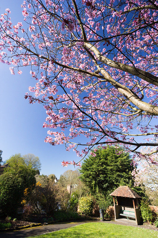 英格兰Sevenoaks的Upper High Street Gardens